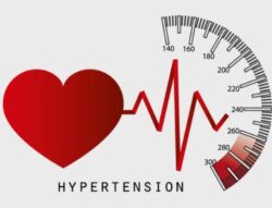 Balance Your Blood Pressure with Ayurvedic Support