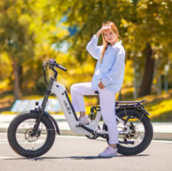Dual suspension fat tire bike