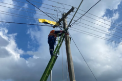 Level 2 electrician Central Coast